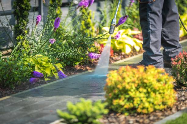 Best Parking Lot Cleaning in Bellemont, AZ