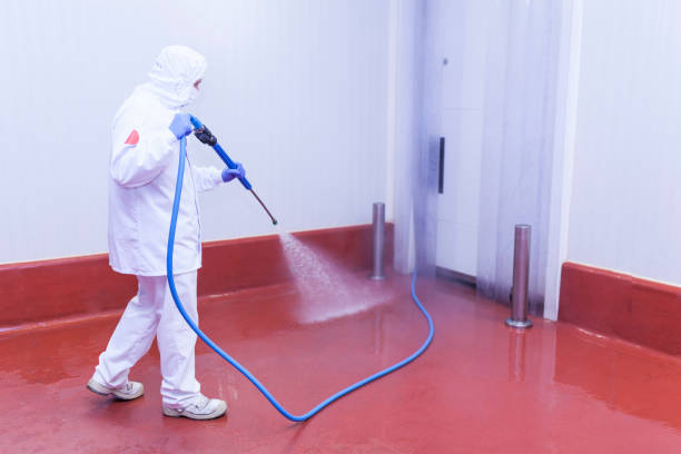 Professional Pressure Washing Services in Bellemont, AZ